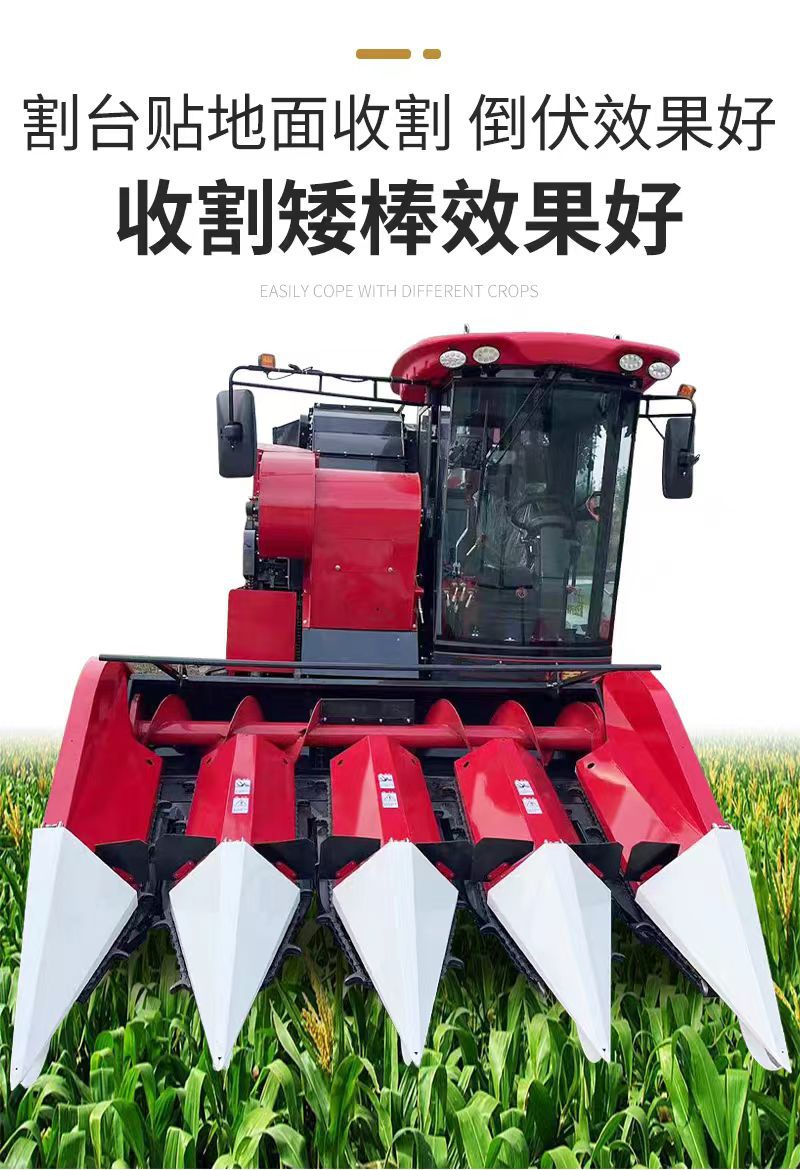 5c3963da3cc38b304ac00fbe622836