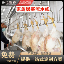 宰杀生产线 鸡鸭屠宰脱毛机 禽类设备 肉鸡分割流水线平板多辊