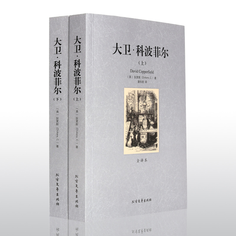 데이비드 콥퍼필드 [2권]