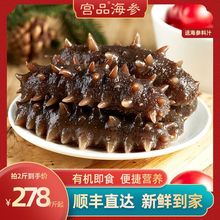 宫品 品惠有机即食海参500g/1kg 刺参即食年货海鲜水产礼盒