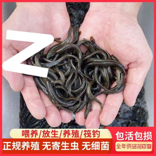 ���q���r��ι�B������~���~���D����������q�Bֳ��ˮ�^�p�~