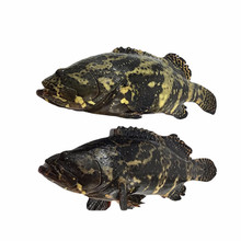 ʮ������u�r��ʯ���~�ϻ���һ�l2�����Һ��r��~Ұ��������đ