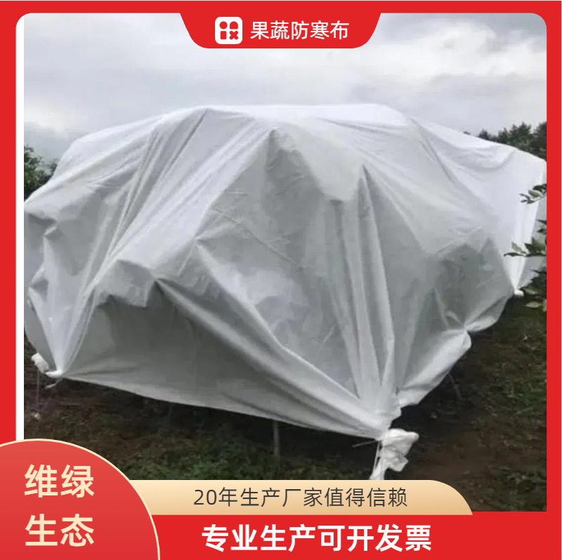 防寒无纺布果蔬大棚覆膜防水毛毡土工布保农业育秧防寒保温布