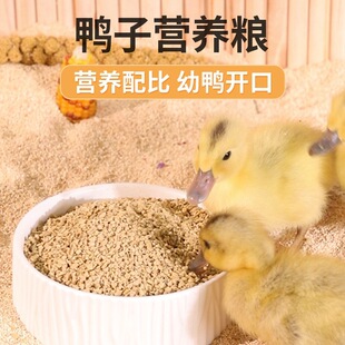�������С���ӿ ���ι���_�ڼZ�����u���Zʳ������s�Z��C