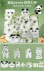 National Treasure Panda 21 [Four Seasons]