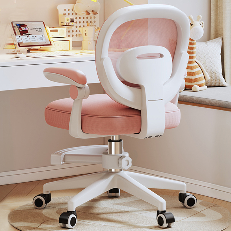 Study Chair, Children's Writing Chair, Student Desk Chair, Backrest Chair, Home Office Chair, Computer Chair, Swivel Chair