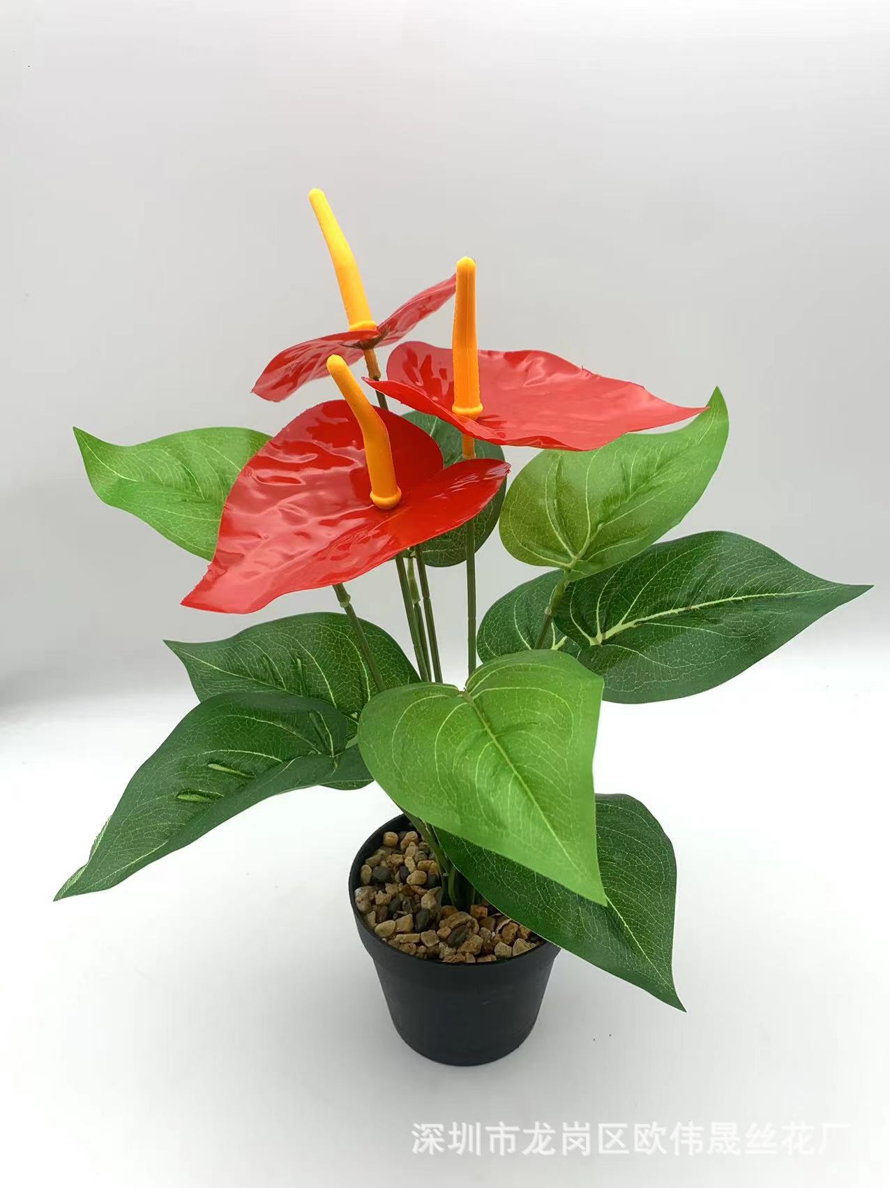 3be0136b0c8ae06f9d441c3174545a