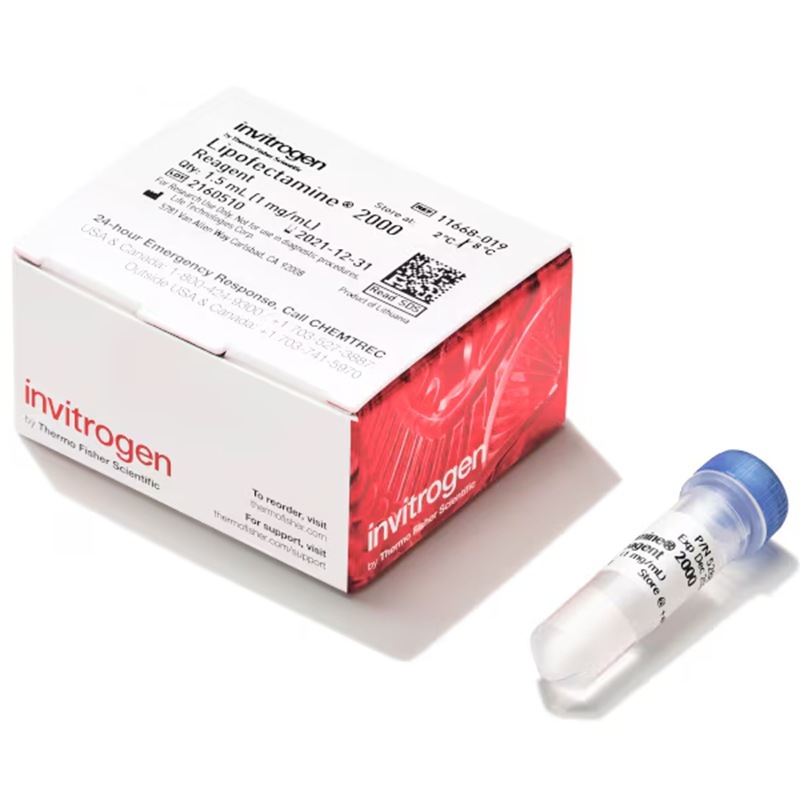 11668019赛默飞Lipofectamine 2000转染试剂脂质体介导Thermo