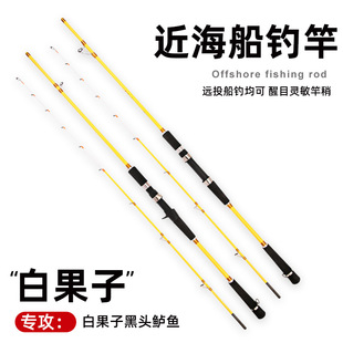 Ginkgo inshore boat rod sea fishing rod 40 boat fishing rod iron rod long-distance rod fishing rod fishing rod luya rod