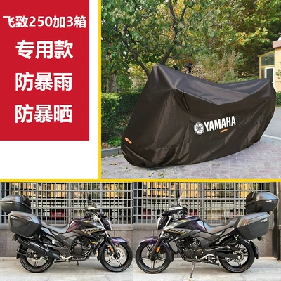 Motorcycle cover, scooter cover, Car clothing - m-feizhi-250-plus-3-boxes