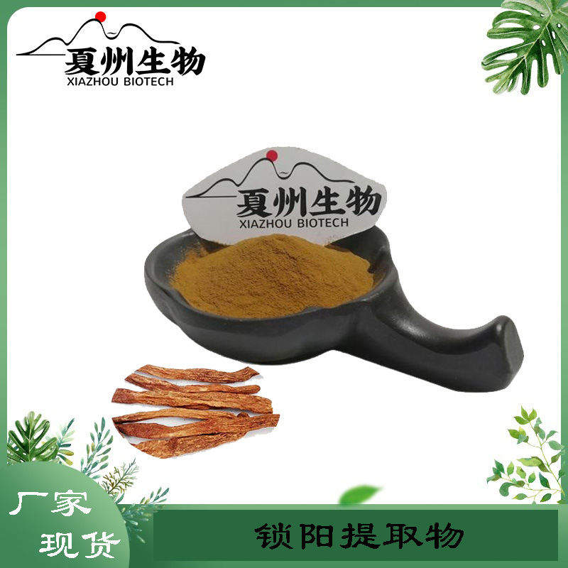 锁阳提取物 10/20/30/50:1规格 锁阳皂苷 夏州生物 原料销售 kg装