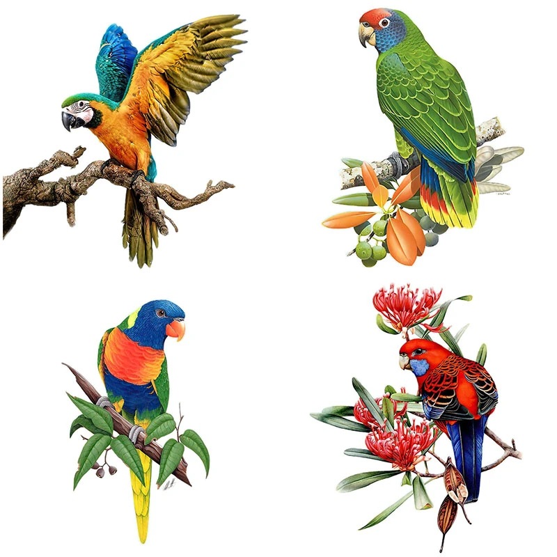 3D simulación lindo loro pájaros personalizado creativo coche pegatinas de vidrio coche pegatinas puerta arañazos decorativos bloqueo pegatinas