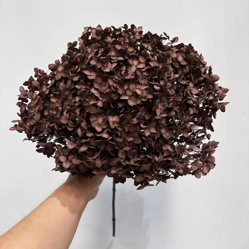 Yunnan Anna Hydrangea Flower Wholesale DIY Flower Preservation Flower Materiales de Regalo de Navidad