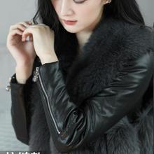 �Ӻ�ӽqƤ������Ů����q������Ƥ���R�׵������̿�ȴ��ë��