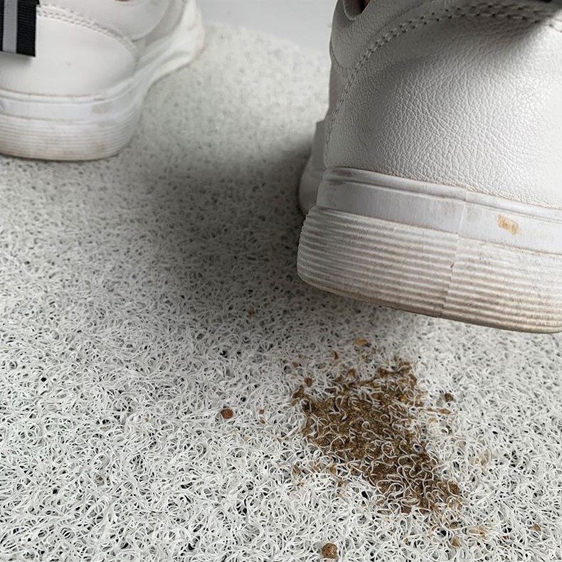 多巴胺拼色入户地垫家用门口丝圈耐脏脚垫入户换鞋耐磨可裁剪脚垫|undefined