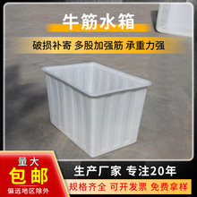 塑胶牛筋滚塑箱 布车养鱼养殖长方形加厚熟料周转箱 塑料牛津水箱