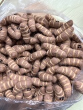 ��Ʒ������ ��ë�ֿ�ɫţ�ǰ��l�AŮ�A�ӂ�߅�����A�^������