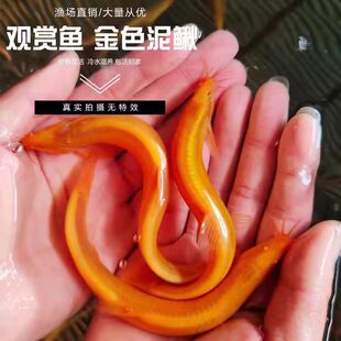 ��ˮ�~С���~�S���q�������B�^�p�~�ͻ���w�^�p�~�S�����q