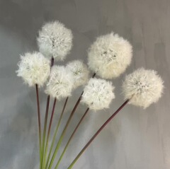 花の客間の置物をシミュレーションして、タンポポの客間をシミュレーションします。