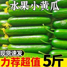 �S�����rСˮ����Ϻ��m�߲��r��ɽ�|�����Խ�Fժ�F�l