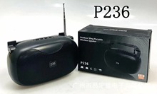 ������Ʒ20221�¿���������忨������MP3������P236