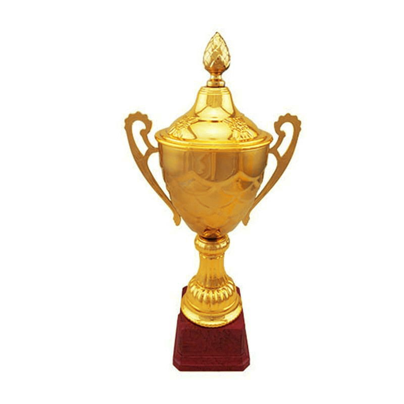 Redwood color base gold -plated metal trophy all grade competition awards gift primary school junior high school high school high school