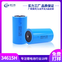 ケイトリチウム電池er34615 hリチウム電池乾電池現物卸売り