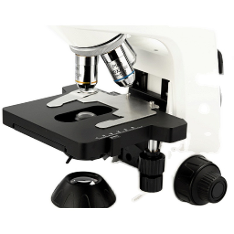 ������ظ߱���ѧ��΢�� B203/B302˫Ŀ��Ŀ������ʵ��������΢��