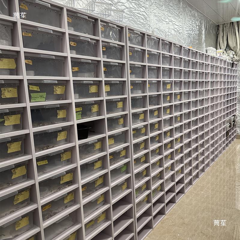 Pvc Climbing Cabinet Gecko Lizard Reptile Breeding Box 6A4 Drawer Box Eyelash Snake Cabinet Pet Incubator