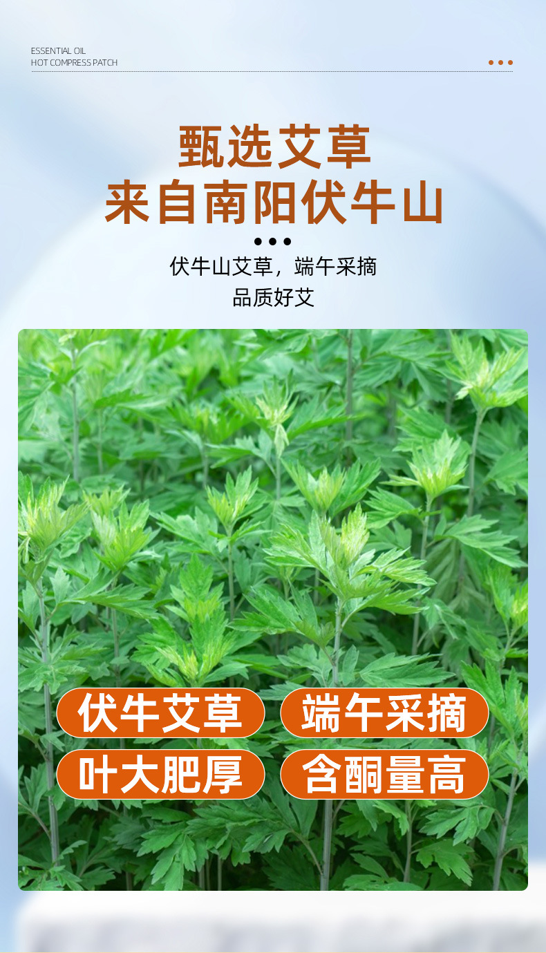 Mugwort Essential Oil Heat Patch Self Heating Moxibustion Patch for Neck Shoulder Waist and Abdomen Warmth 5 Patches Per Box quality and texture