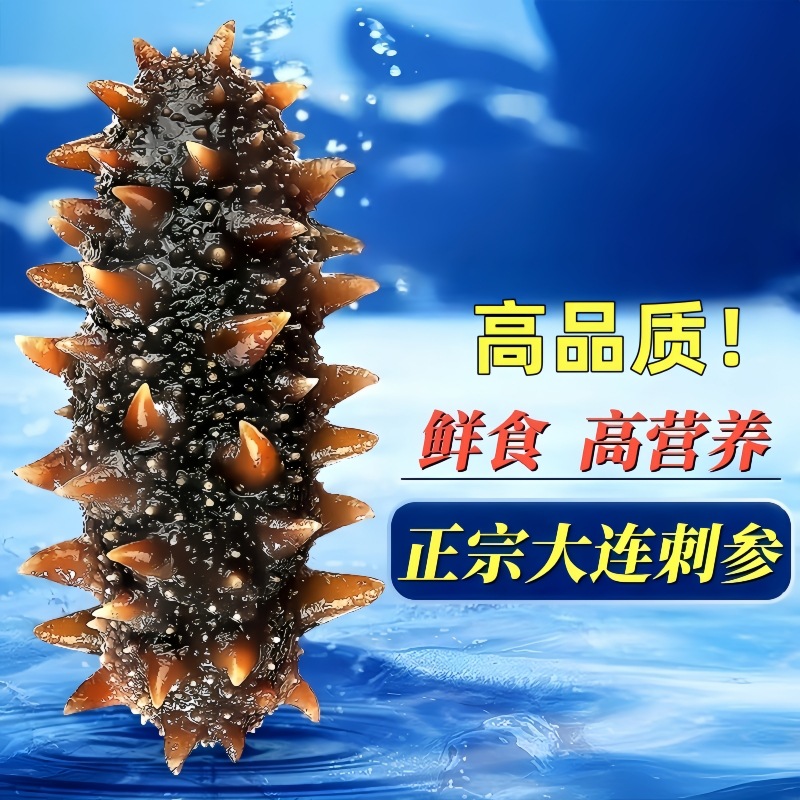 海参即食刺参大连海叁鲜活辽参干货野生营养海参500g单个装袋礼盒