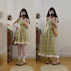 大きいサイズの婦人服の甘美な初恋のスカートのレースは油絵をつづり合わせてぼかして砕けた花を染めてやせているワンピースを現します。
