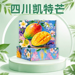 四川凯特芒凯特芒果 节日礼品礼盒年货团购送礼商务福利企业水果