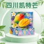 四川福利商务节日礼盒
