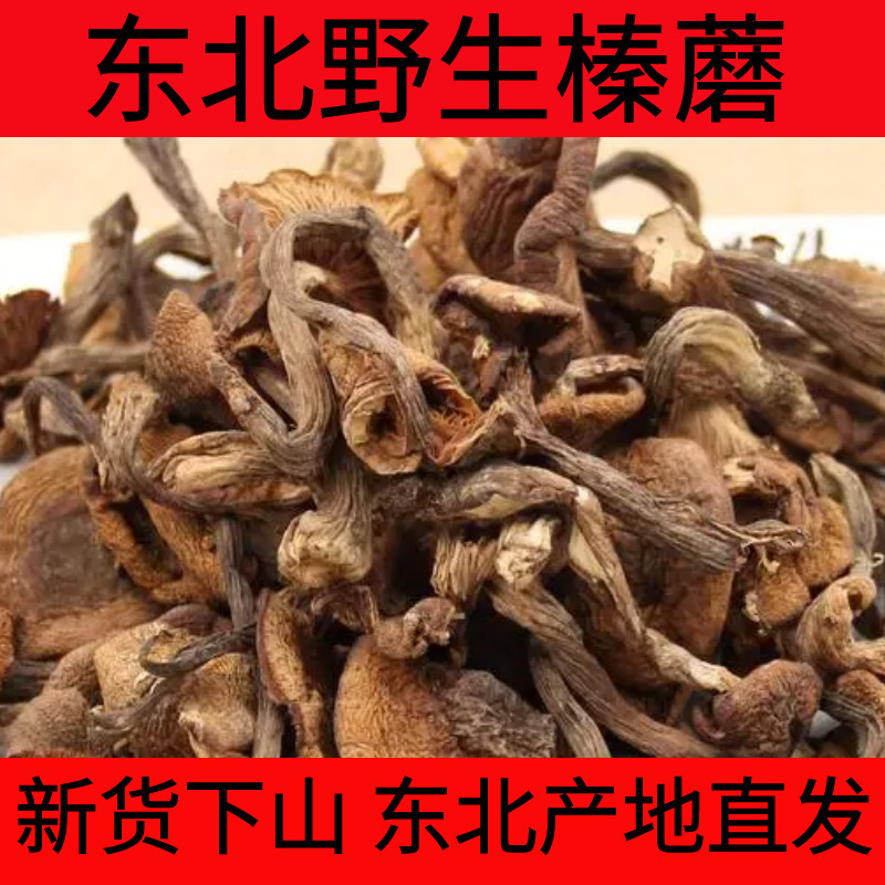 东北野生榛蘑干货小鸡炖蘑菇批发长白山土特产真蘑无根净重发货