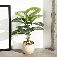 跨境厂家直销批发仿真绿植绿萝叶过胶手感叶婚庆家居装饰假盆景