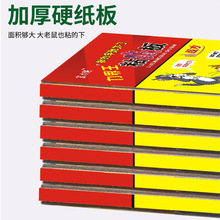 力界王强力粘鼠板家用老鼠板老鼠夹驱鼠器老鼠笼捕鼠器厂家批发