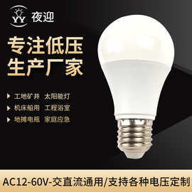 led低压灯泡 12v交直流E27A泡室内外防蚊虫防尘球泡灯具 厂家直供