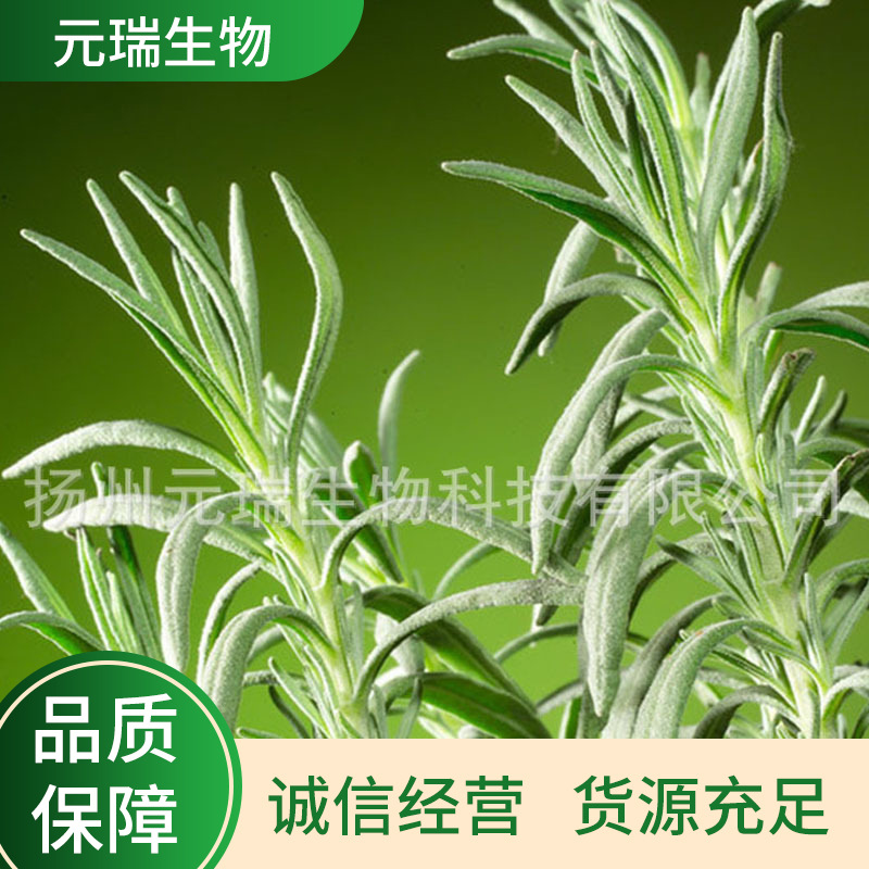 元瑞厂家直供化妆品护肤品原料萃取液迷迭香提取物迷迭香提取液