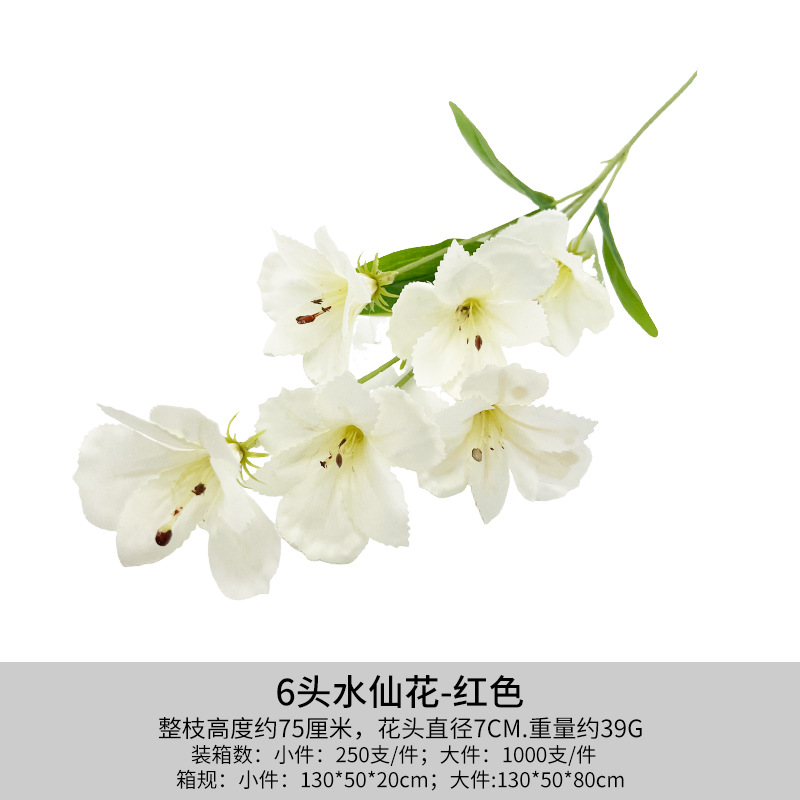 하얀색