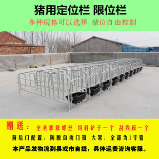 母猪位定位栏单体栏猪用限位栏十个猪位带食槽限位栏养猪设备器械-阿里巴巴