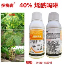 40%ϩRϩS˪ù߲Ʒl÷