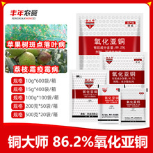 �~�� 86.2%�������~ ���ٝ� �����S��˪ù���y�ݲ��rș������