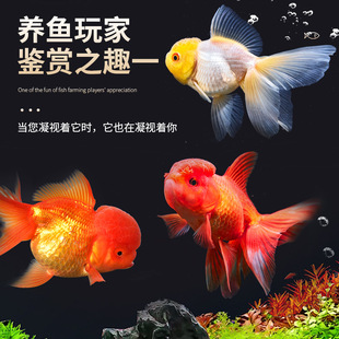 ���~���~�^�p�~���wС���~��ˮ�~���B�ͻ���~�絭ˮ�~�����~����