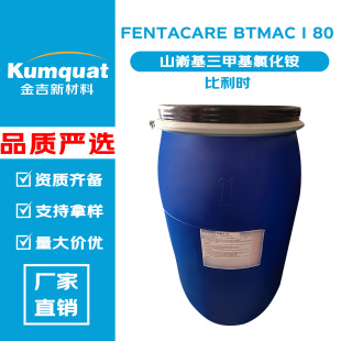 �����r FENTACARE BTMAC I 80 ɽ�λ����׻��Ȼ��@ �黯�� �{�턩