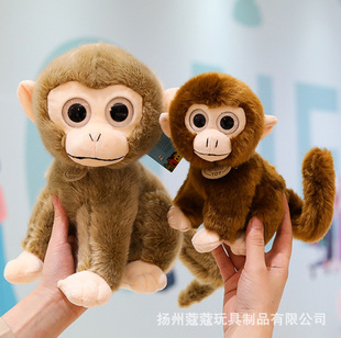 �羳����С������ż�ɐ۴��ۺ���ë�q��߹��в������b[��