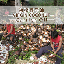 �����e��եҬ����ԭ�����lcoconut Ҭ��ֲ���� �҂��ṩԭ�a���C