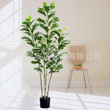 ȫC~ Gֲ  ҃b  kҔ[   @ˇg