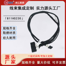 ���S���Ƹ��N��܇������� ����O�侀�� ����B�Ӿ���