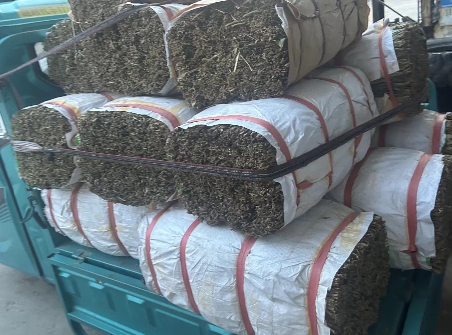 微信图片_20240424181434